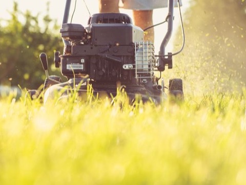 Lawn mower cutting grass