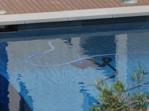 Pool cleaning hose in a swimming pool